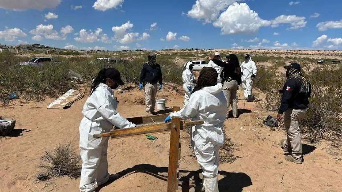 rastreos zona lomas del poleo forenses